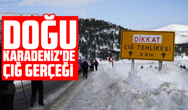 Doğu Karadeniz'de çığ gerçeği