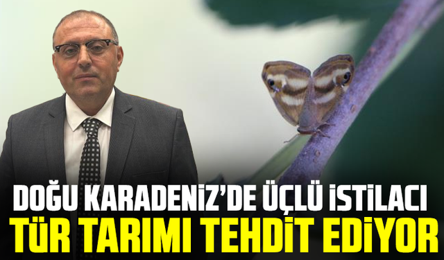 Doğu Karadeniz’de üçlü istilacı tür tarımı tehdit ediyor