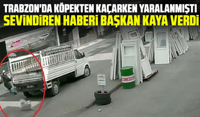 Trabzon'da köpekten kaçarken yaralanmıştı: Sevindiren haberi Başkan Kaya verdi