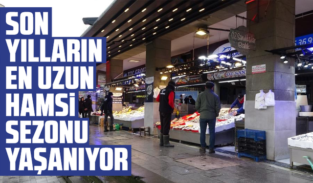 Son yılların en uzun hamsi sezonu yaşanıyor