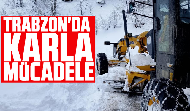 Trabzon'da karla mücadele sürüyor