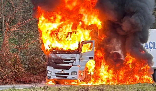 Rize'de arızalanan tır alev alev yandı