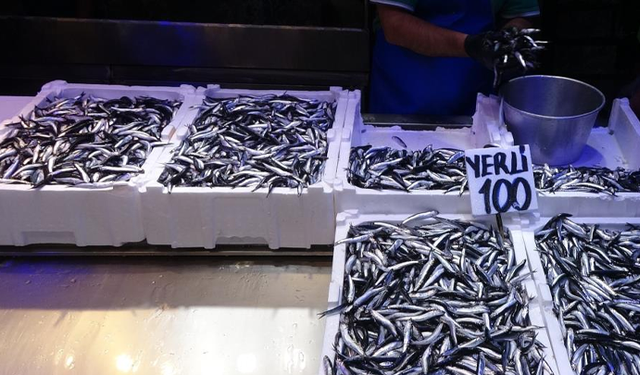 Trabzon’da hamsi ihracatı kazandırdı: İşte rakamlar