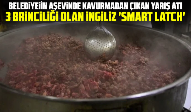 Belediyenin aşevinde kavurmadan çıkan yarış atı: 3 birinciliği olan İngiliz 'Smart Latch'