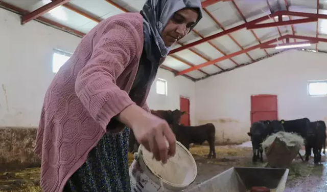 Devlet desteğiyle hayvan sayısını 5 ayda 2'ye katladı