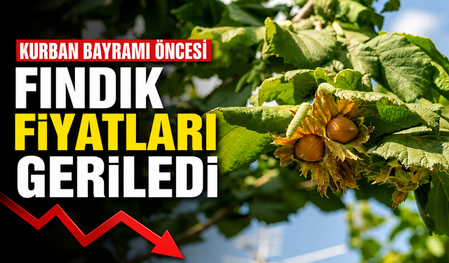 Kurban Bayramı öncesi fındık fiyatları geriledi