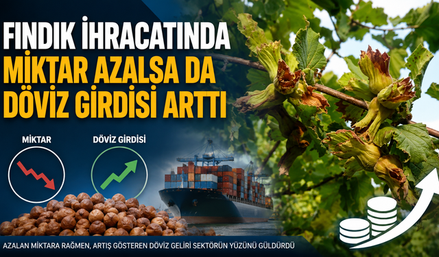 Fındık ihracatında miktar azalsa da döviz girdisi arttı