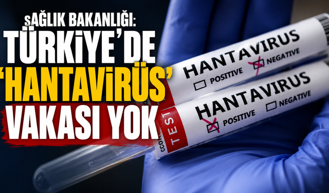 Sağlık Bakanlığı: Türkiye'de 'hantavirüs' vakası yok