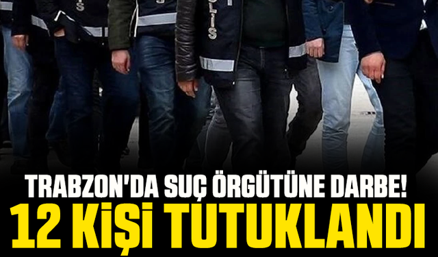 Trabzon'da suç örgütüne darbe! 12 kişi tutuklandı