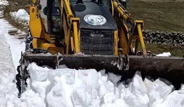 Giresun’da mayıs ayında kar mücadelesi
