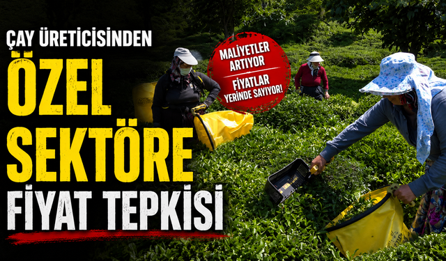 Çay üreticisinden özel sektöre fiyat tepkisi