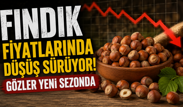 Fındık fiyatlarındaki düşüş sürüyor: Gözler yeni sezonda