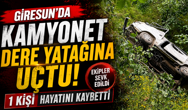Giresun’da kamyonet dere yatağına uçtu: 1 kişi hayatını kaybetti
