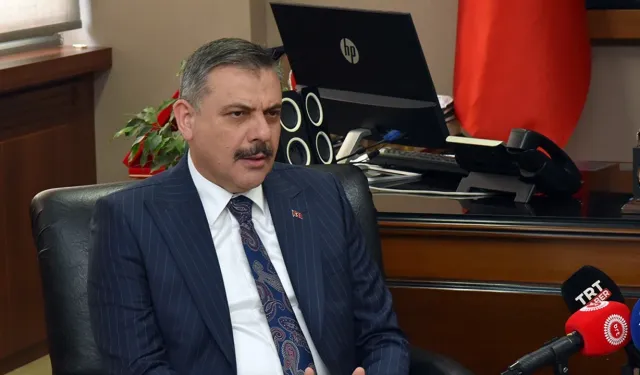 İçişleri Bakanı Çiftçi'den sahipsiz sokak hayvanlarıyla ilgili yeni açıklama