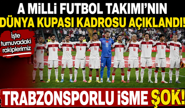 A Milli Takımımızın Dünya Kupası kadrosu belli oldu