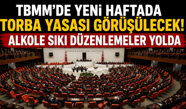 TBMM'de yeni haftada torba yasası görüşülecek: Alkole sıkı düzenlemeler yolda
