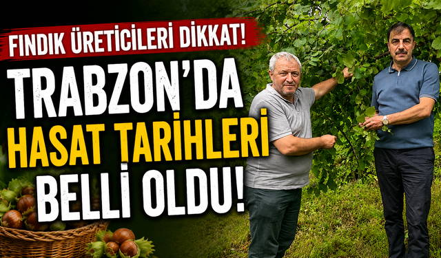 Fındık üreticileri dikkat! Trabzon'da hasat tarihleri belli oldu