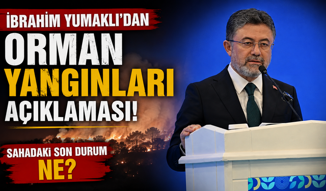 İbrahim Yumaklı'dan orman yangınları açıklaması: Sahadaki son durum ne?