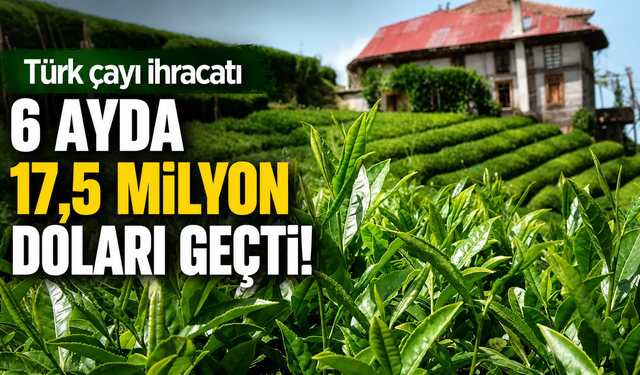 Türk çayı ihracatı 6 ayda 17,5 milyon doları geçti