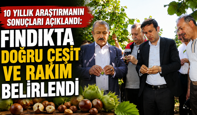 10 yıllık araştırmanın sonuçları açıklandı: Fındıkta doğru çeşit ve rakım belirlendi