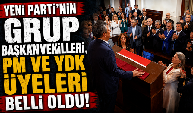 Yeni Parti'nin grup başkanvekilleri, PM ve YDK üyeleri belli oldu