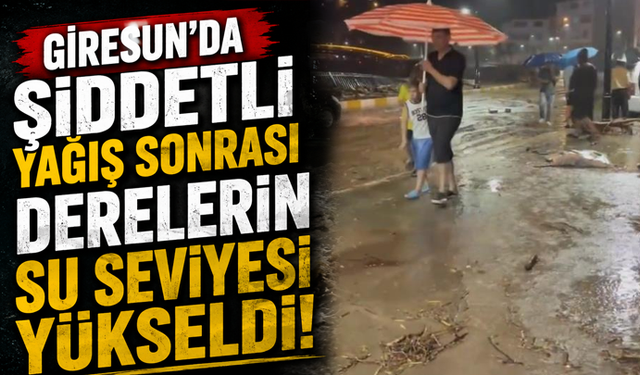 Giresun'da şiddetli yağışlar sonrası derelerin su seviyesi yükseldi