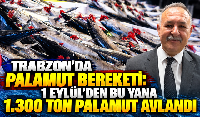 Trabzon'da palamut bereketi: 1 Eylül'den bu yana bin 300 ton palamut avlandı