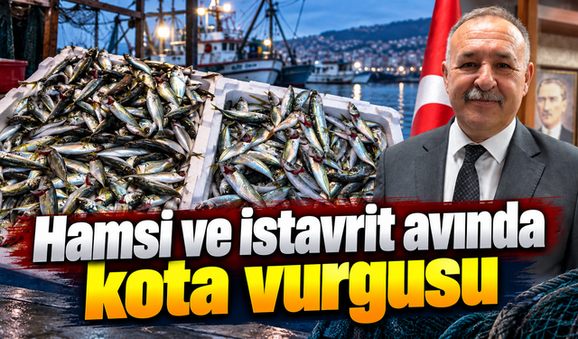 Hamsi ve istavrit avında kota vurgusu