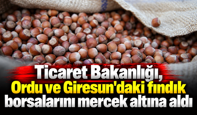Ticaret Bakanlığı, Ordu ve Giresun'daki fındık borsalarını mercek altına aldı