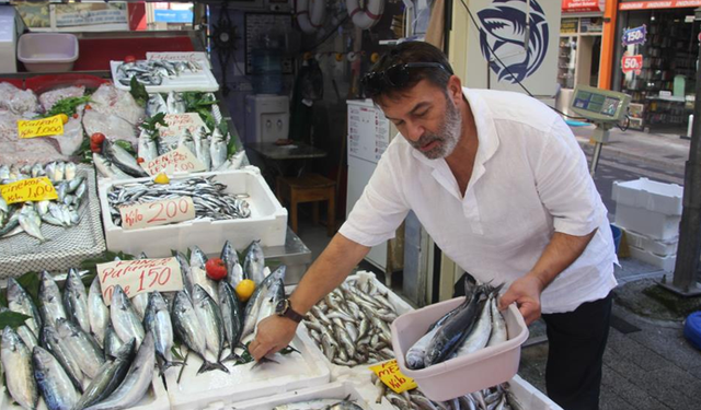 Palamut bolluğu tezgahlara yansıdı: 600 gram balık 100 lira