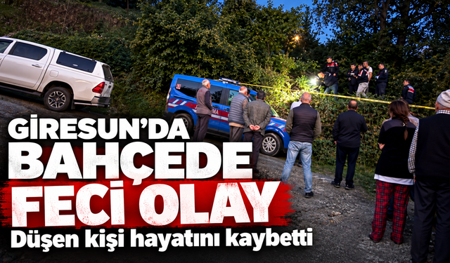 Giresun’da bahçede düşen kişi hayatını kaybetti