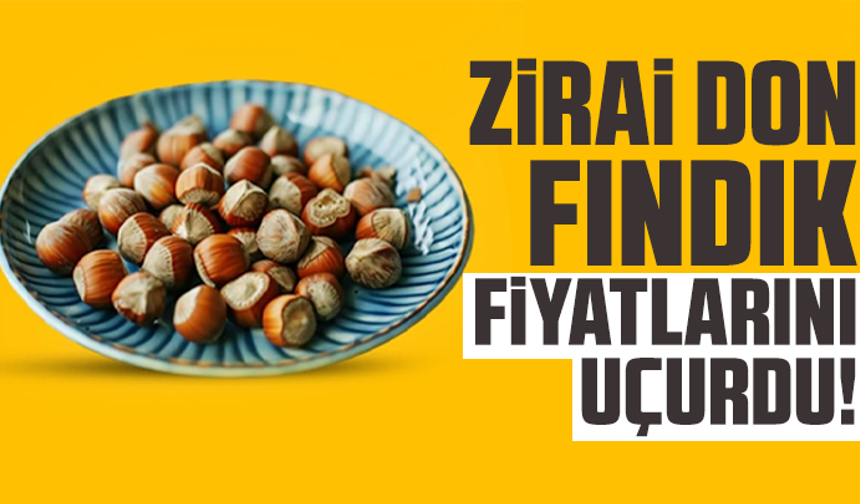 Zirai don fındık fiyatlarını uçurdu!