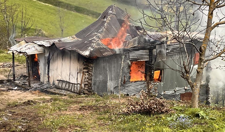 Ordu'da yaşlı adamın evi, çıkan yangında küle döndü