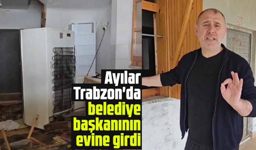 Ayılar Trabzon'da belediye başkanının evine girdi