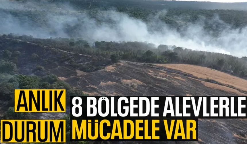 Türkiye alevler içinde! İşte orman yangınlarında son durum