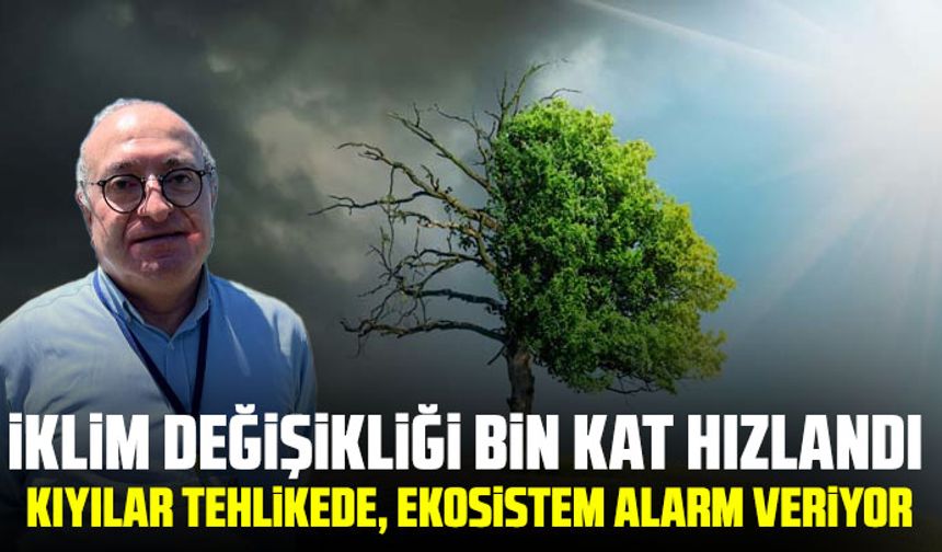 İklim değişikliği bin kat hızlandı: Kıyılar tehlikede, ekosistem alarm veriyor