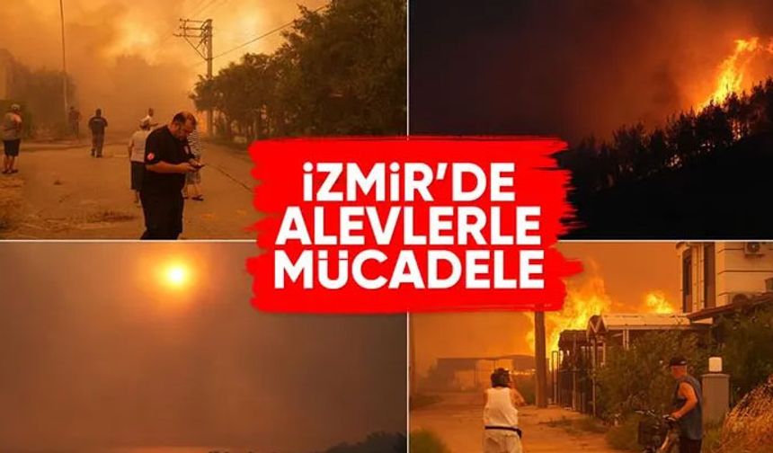 İzmir'de ormanlık alanlarda çıkan yangınlara müdahale ediliyor
