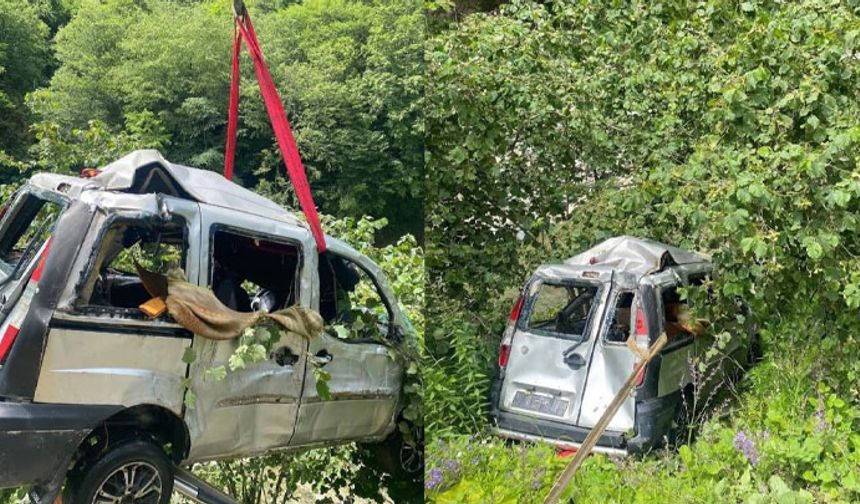 Giresun'da hafif ticari araç dereye uçtu
