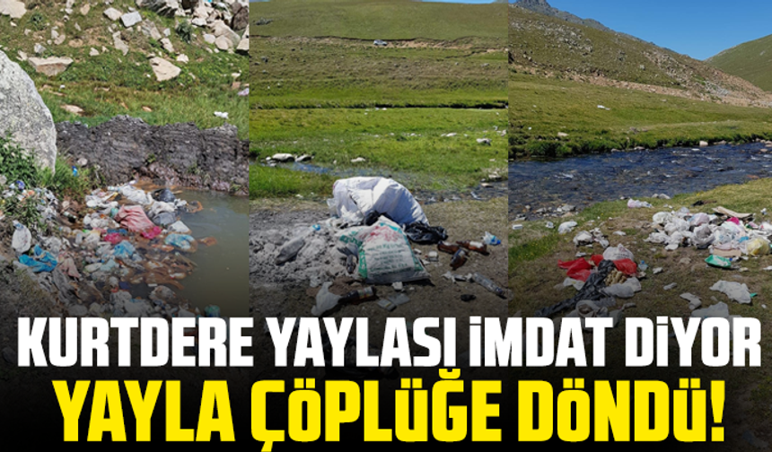 Kurtdere yaylası İmdat Diyor: Yayla Çöplüğe Döndü!