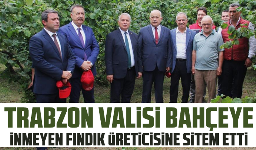 Trabzon Valisi bahçeye inmeyen fındık üreticisine sitem etti