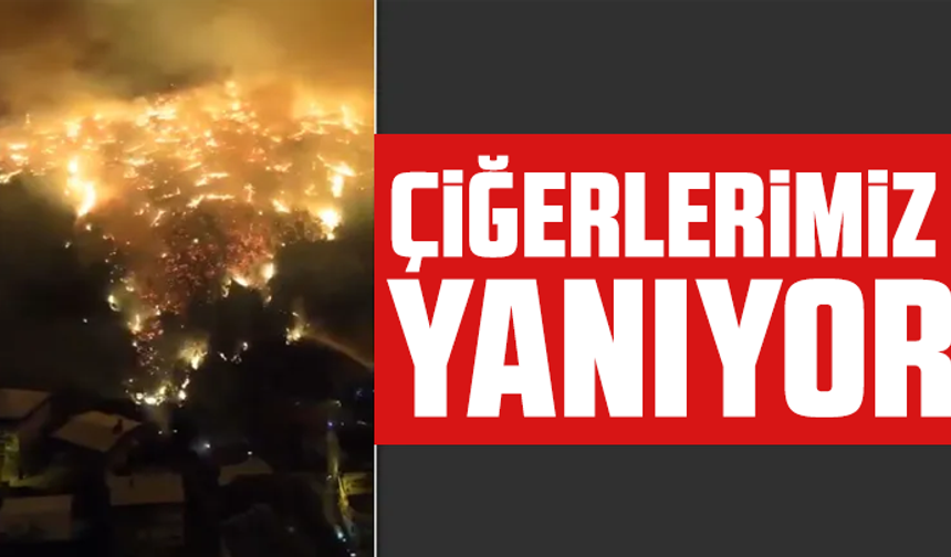 Bursa'da orman yangını yerleşim yerlerine sıçradı