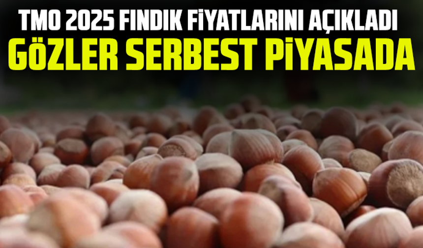 TMO 2025 fındık fiyatlarını açıkladı, gözler serbest piyasada