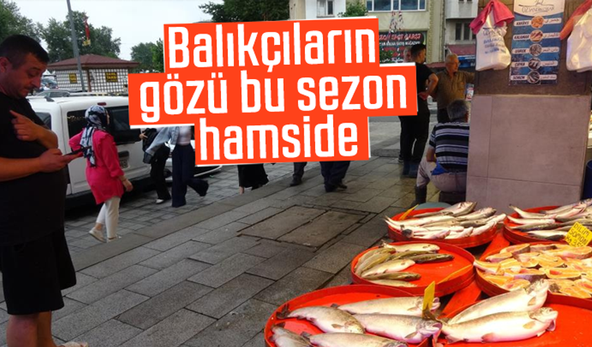 Balıkçıların gözü bu sezon hamside