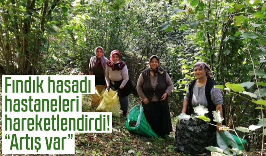 Fındık hasadı hastaneleri hareketlendirdi! “Artış var”