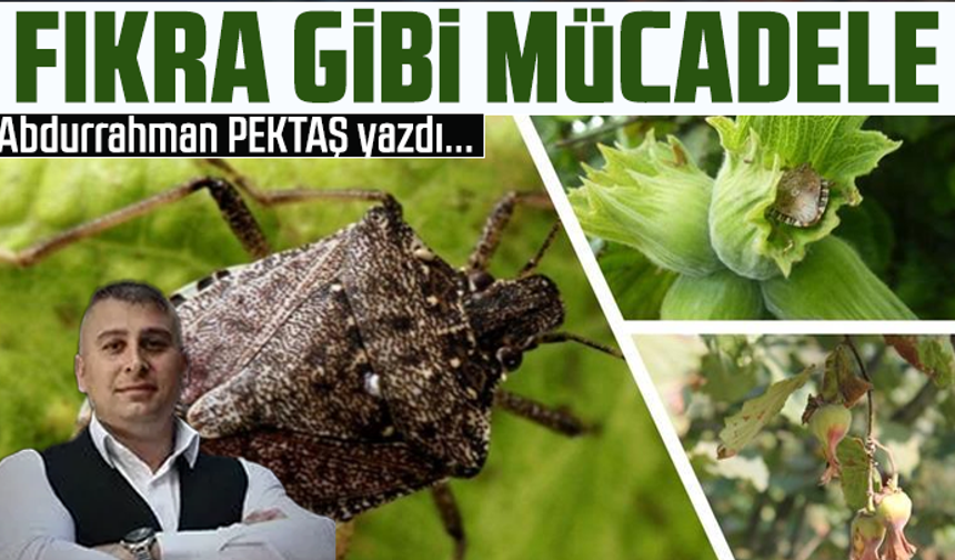 Fıkra gibi mücadele