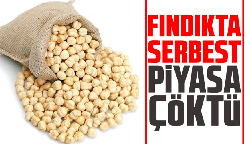 Fındıkta Serbest Piyasa Çöktü