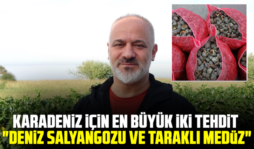Karadeniz için en büyük iki tehdit: "Deniz salyangozu ve taraklı medüz"