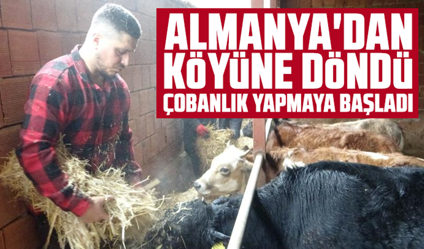 Almanya'dan köyüne döndü, çobanlık yapmaya başladı