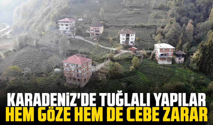 Karadeniz'de tuğlalı yapılar hem göze hem de cebe zarar