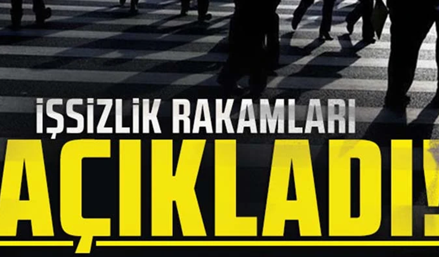 Kasım ayı işsizlik rakamları açıklandı